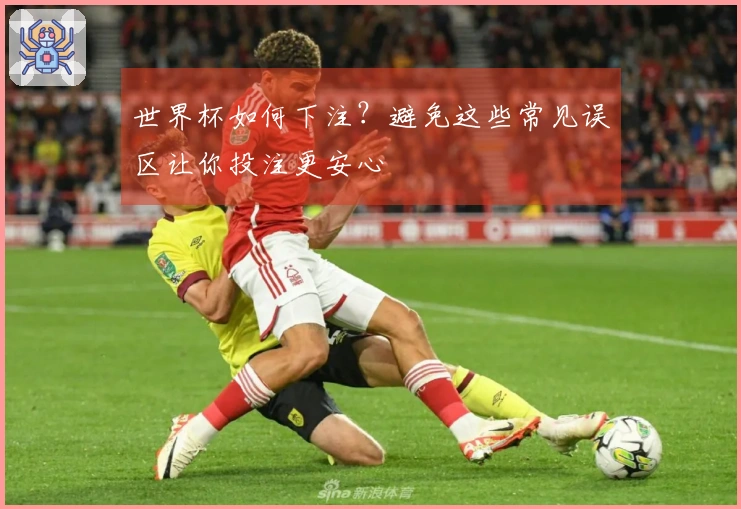 世界杯如何下注？避免这些常见误区让你投注更安心