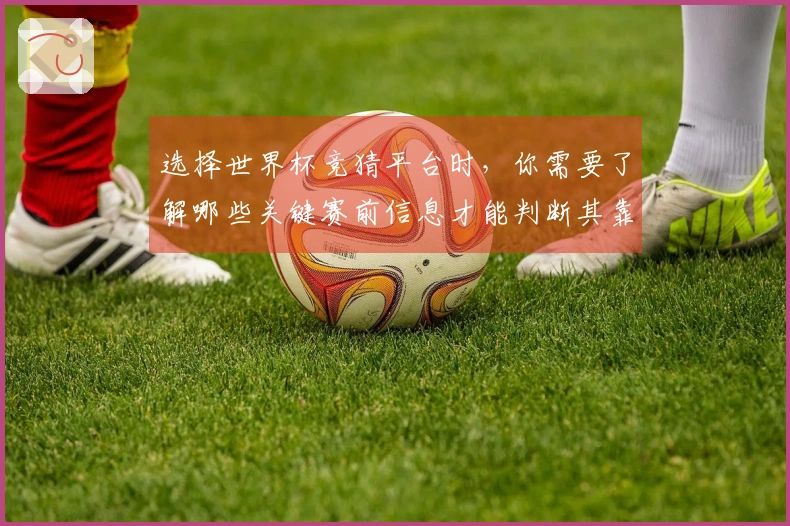选择世界杯竞猜平台时，你需要了解哪些关键赛前信息才能判断其靠谱性？