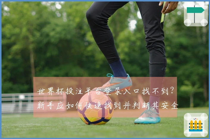 世界杯投注平台登录入口找不到？新手应如何快速找到并判断其安全性
