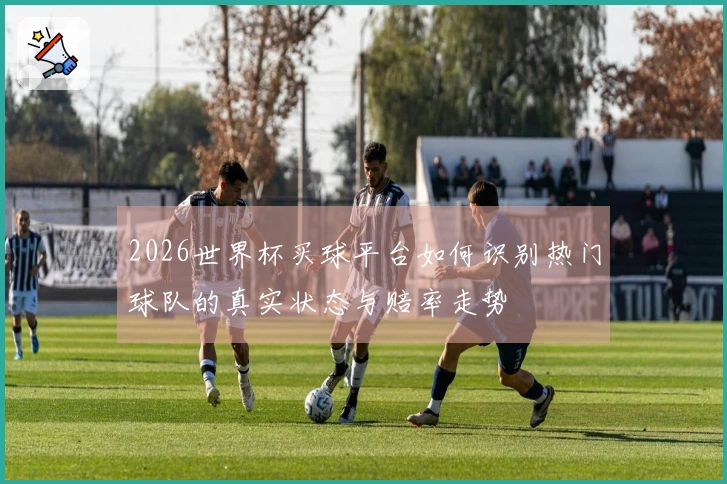 2026世界杯买球平台如何识别热门球队的真实状态与赔率走势