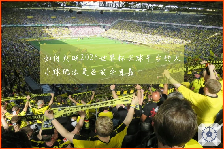 如何判断2026世界杯买球平台的大小球玩法是否安全可靠