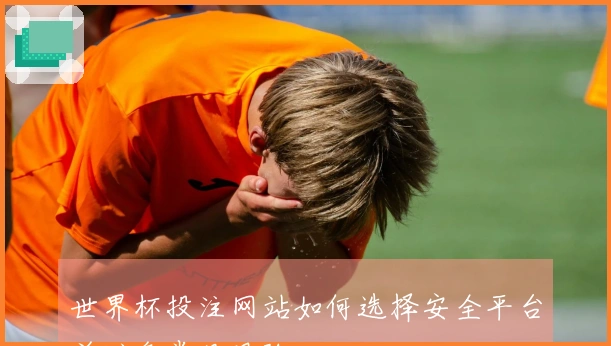 世界杯投注网站如何选择安全平台并避免常见风险