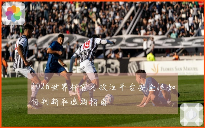 2026世界杯官方投注平台安全性如何判断和选购指南