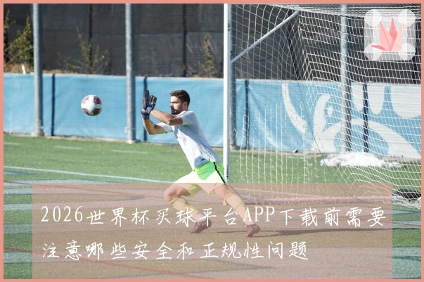 2026世界杯买球平台APP下载前需要注意哪些安全和正规性问题