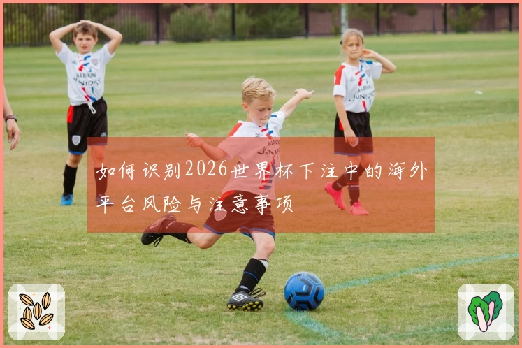 如何识别2026世界杯下注中的海外平台风险与注意事项