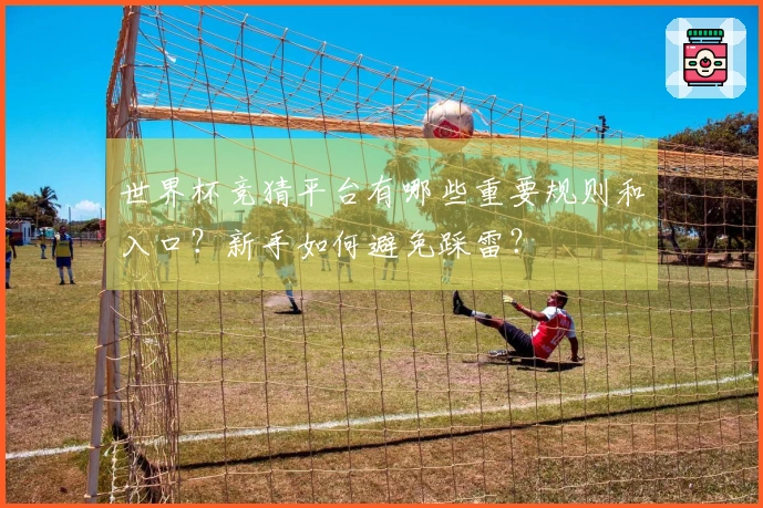 世界杯竞猜平台有哪些重要规则和入口？新手如何避免踩雷？
