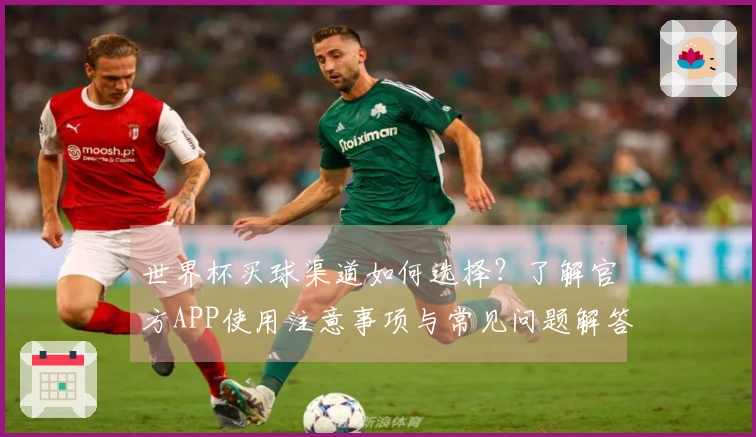 世界杯买球渠道如何选择？了解官方APP使用注意事项与常见问题解答
