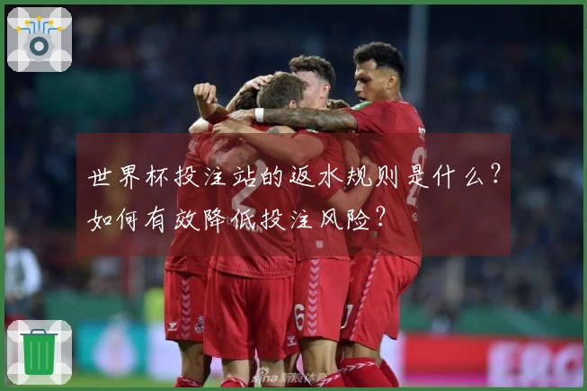 世界杯投注站的返水规则是什么？如何有效降低投注风险？