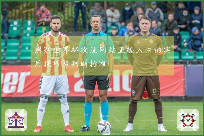 辨别世界杯投注网站正规入口的实用技巧与判断标准