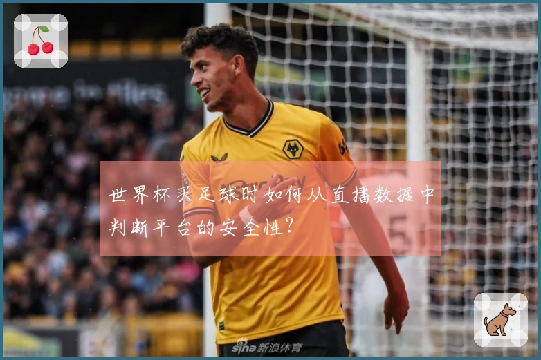 世界杯买足球时如何从直播数据中判断平台的安全性？