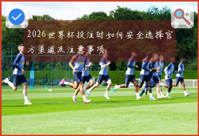 2026世界杯投注时如何安全选择官方渠道及注意事项