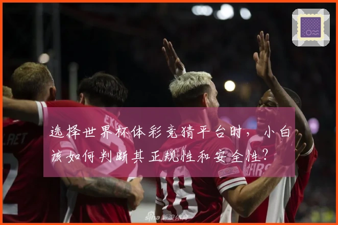 选择世界杯体彩竞猜平台时，小白该如何判断其正规性和安全性？