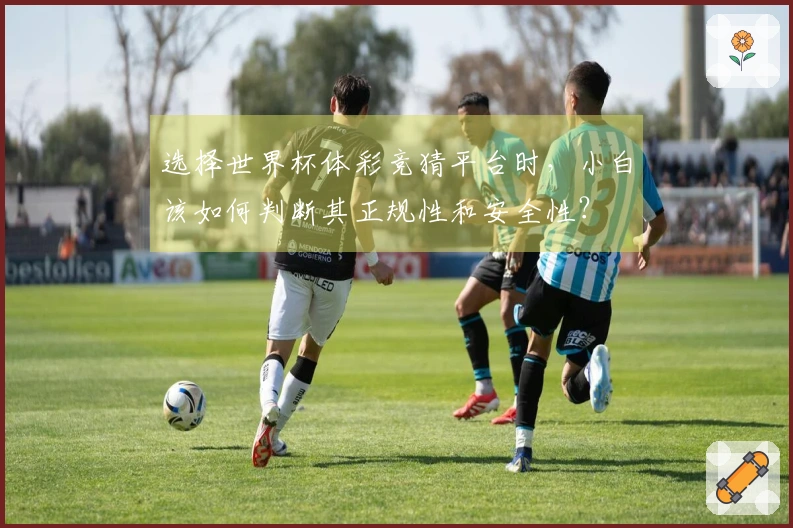 选择世界杯体彩竞猜平台时，小白该如何判断其正规性和安全性？