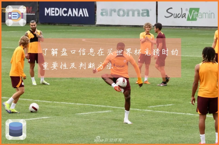 了解盘口信息在买世界杯竞猜时的重要性及判断方法
