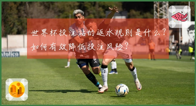 世界杯投注站的返水规则是什么？如何有效降低投注风险？