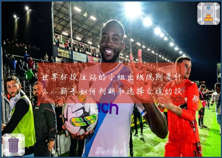 世界杯投注站的小组出线规则是什么，新手如何判断和选择合适的投注平台
