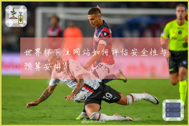 世界杯下注网站如何评估安全性与预算安排？