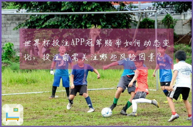 世界杯投注APP冠军赔率如何动态变化，投注前需关注哪些风险因素？