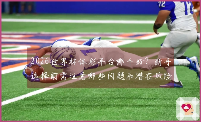 2026世界杯体彩平台哪个好？新手选择前需注意哪些问题和潜在风险