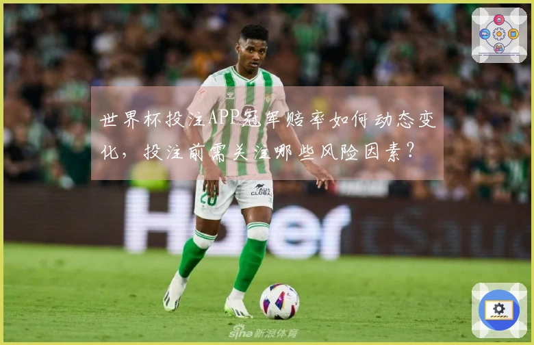 世界杯投注APP冠军赔率如何动态变化，投注前需关注哪些风险因素？