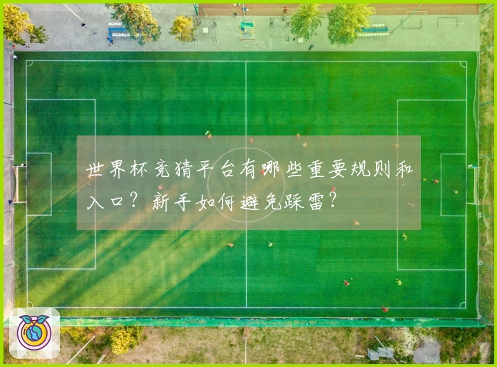 世界杯竞猜平台有哪些重要规则和入口？新手如何避免踩雷？