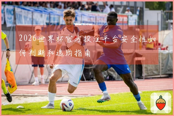 2026世界杯官方投注平台安全性如何判断和选购指南