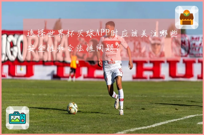 选择世界杯买球APP时应该关注哪些安全性和合法性问题？