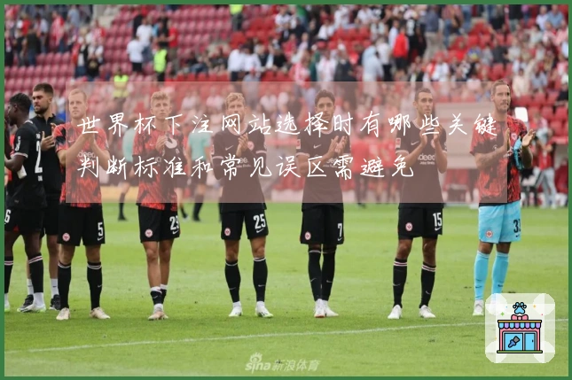 世界杯下注网站选择时有哪些关键判断标准和常见误区需避免