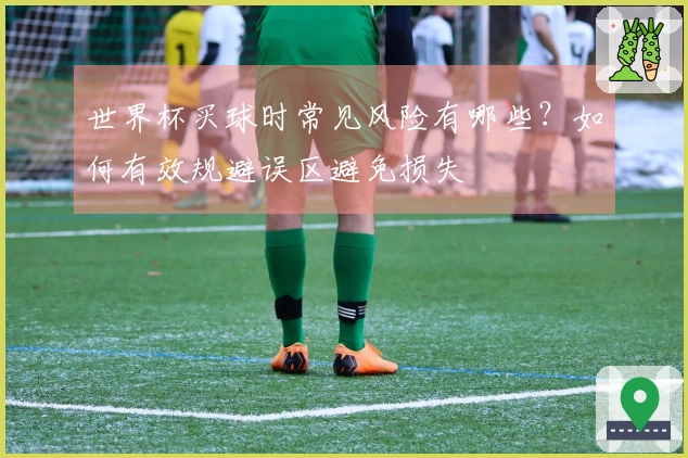 世界杯买球时常见风险有哪些？如何有效规避误区避免损失
